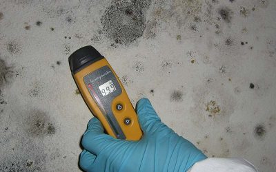 Inspect for Mold