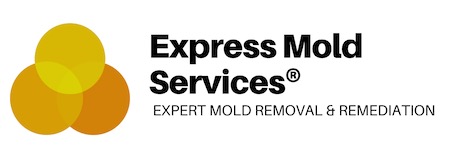 Express Mold Services