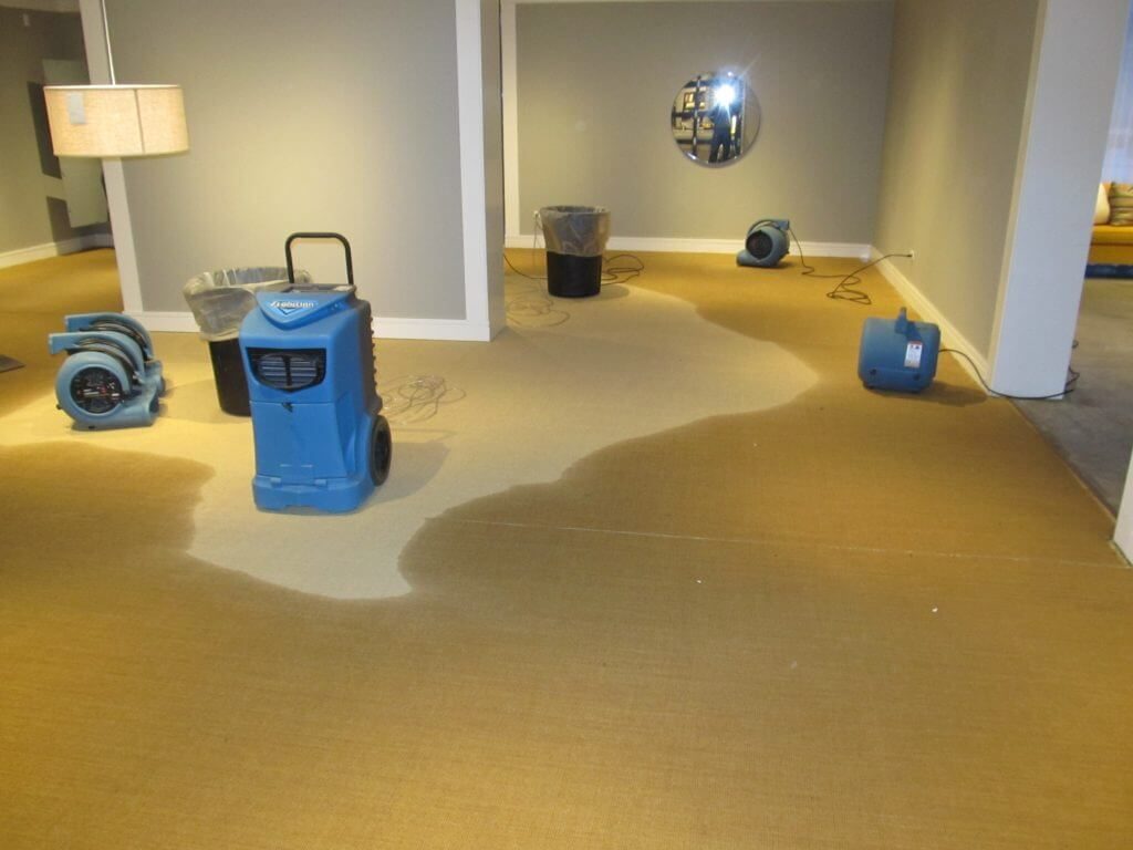Best Mold and Water Damage Repair Services