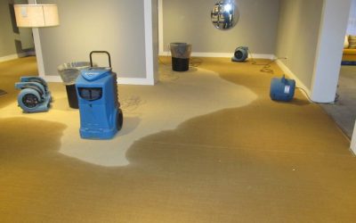 Best Mold and Water Damage Repair Services in Deerfield Beach, FL – Trust Express Mold Services for Fast and Reliable Restoration