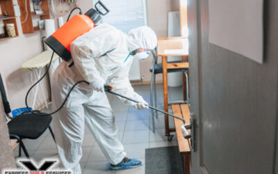 Commercial Mold Remediation – Protecting Your Business
