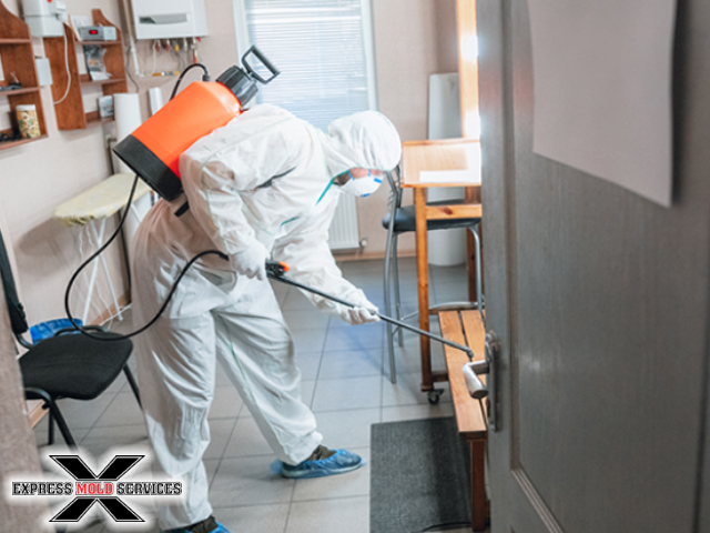 Commercial Mold Remediation | Protecting Your Business