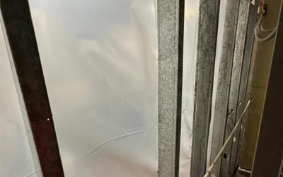 Best Basement Mold Remediation Services Near Me – Trusted Solutions by Express Mold Services