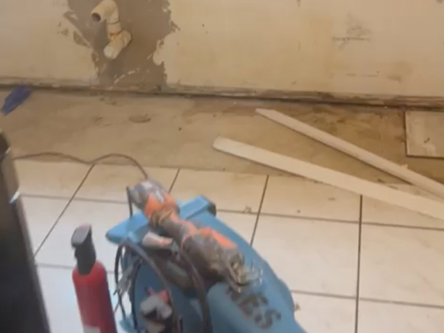 Fort Lauderdale Mold Repair and Restoration