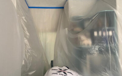 Express Mold Services: Trusted Experts in Water Damage and Mold Restoration Services