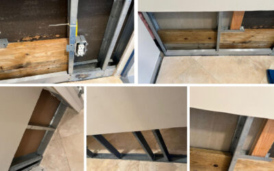 Top Emergency Mold Removal Services Near Me – Why Express Mold Services Is the Trusted Solution