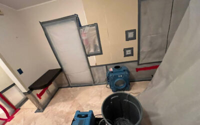 Express Mold Services – The Best Mold Cleanup Company for Fast, Safe, and Complete Remediation