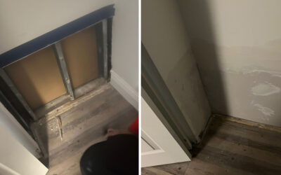 Express Mold Services: The Top-Rated Attic and Crawl Space Mold Cleanup Company Near Me