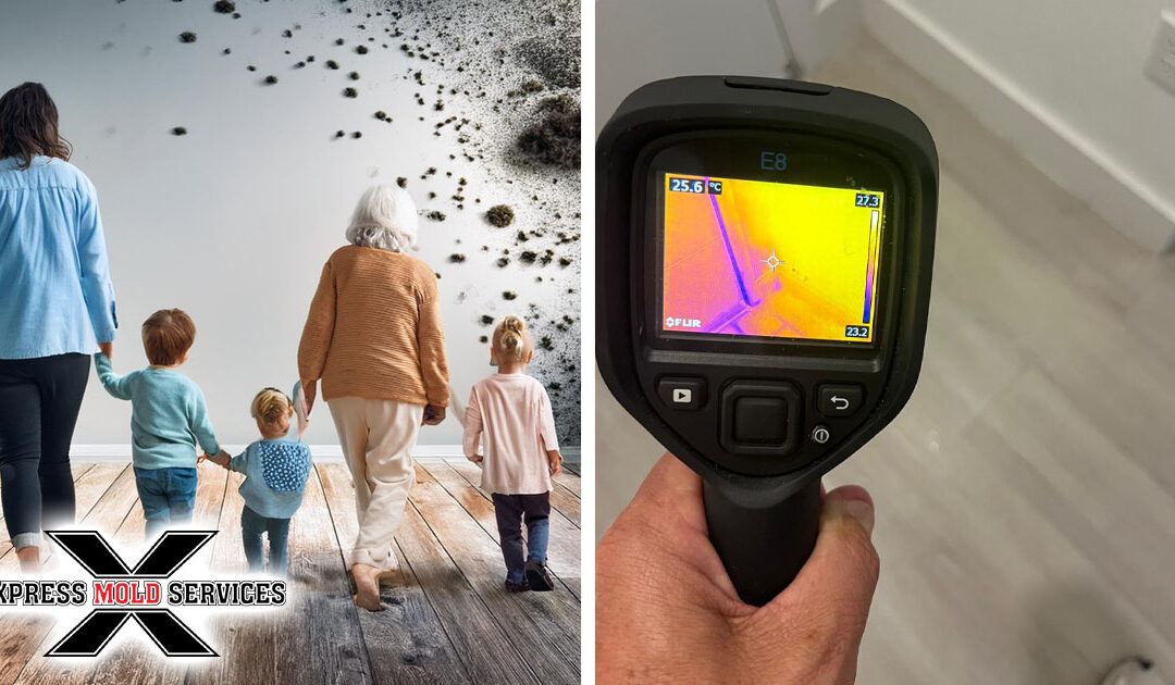 Top-Rated Structural Drying and Mold Prevention Company