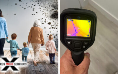 Top-Rated Structural Drying and Mold Prevention Company Near Me – Express Mold Services