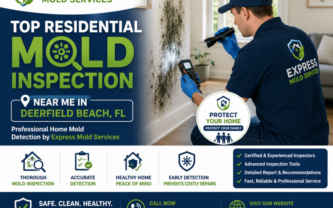 Top Residential Mold Inspection