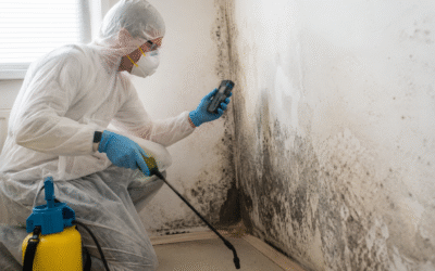 Certified Mold Remediation Services Near Deerfield Beach, FL